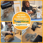 TryggVovve™ - Hundborste