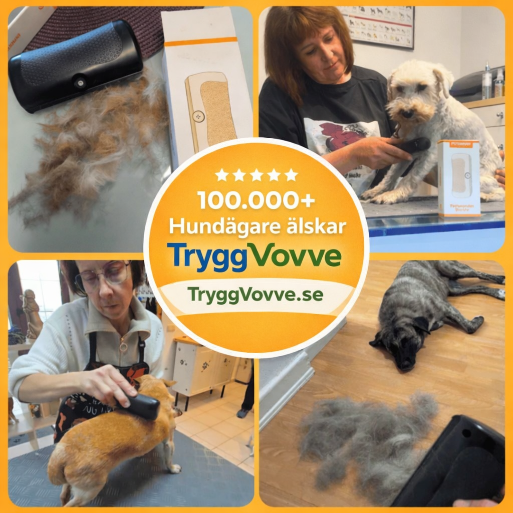 TryggVovve™ - Hundborste